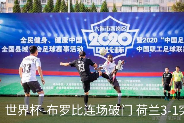 世界杯-布罗比连场破门 荷兰3-1突尼斯获小组头名将战摩洛哥